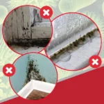 Kit Manguera Condensador SPARES2GO - Imagen 5